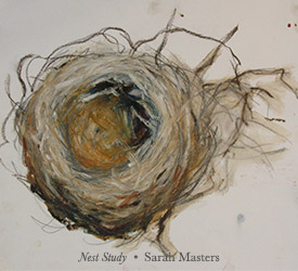 Nest Study drawing